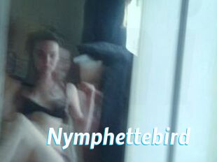 Nymphettebird
