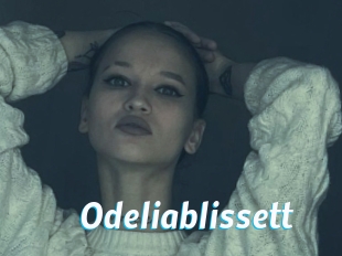 Odeliablissett