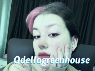 Odellagreenhouse