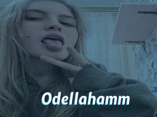 Odellahamm