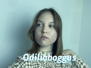 Odiliaboggus