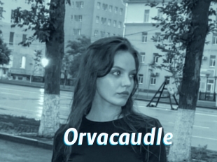 Orvacaudle