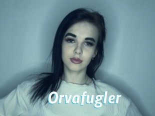 Orvafugler