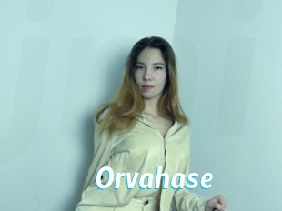 Orvahase