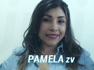 PAMELA_zv
