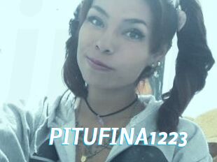 PITUFINA1223