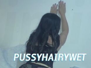 PUSSYHAIRYWET