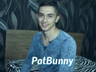 PatBunny