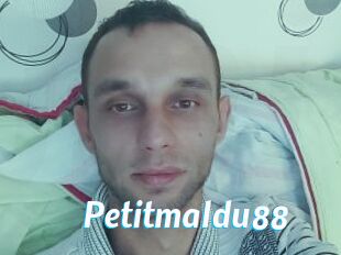 Petitmaldu88