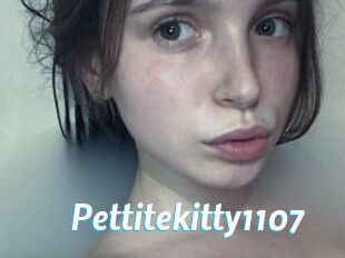 Pettitekitty1107