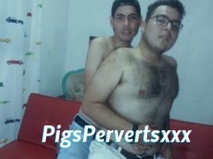 PigsPervertsxxx