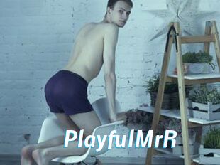 PlayfulMrR