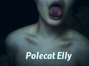 Polecat_Elly