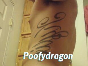 Poofydragon