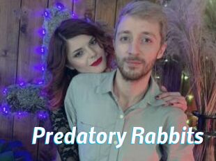 Predatory_Rabbits