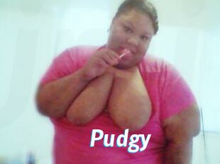 Pudgy