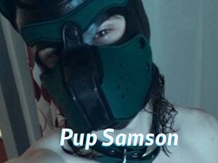 Pup_Samson