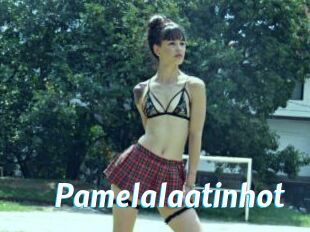 Pamelalaatinhot