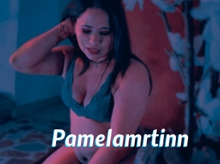 Pamelamrtinn