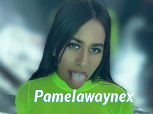 Pamelawaynex