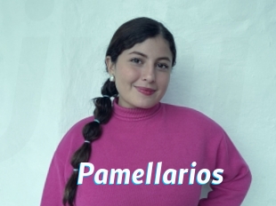 pamellarios J Mine