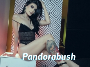 Pandorabush