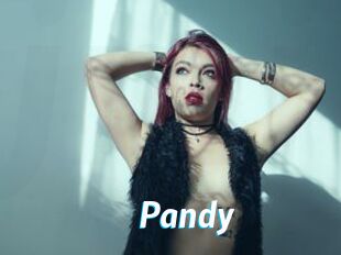 Pandy