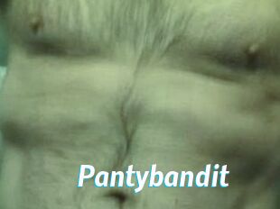 Pantybandit