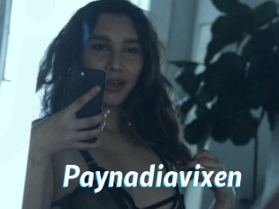 Paynadiavixen