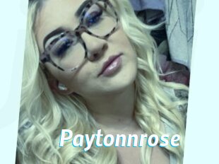 Paytonnrose