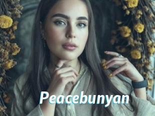 Peacebunyan
