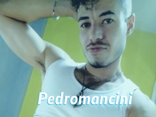 pedromancini J Mine