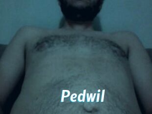 Pedwil