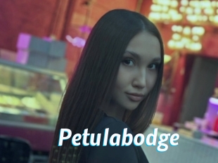 Petulabodge