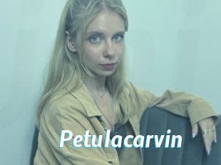 petulacarvin J Mine