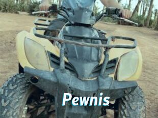 Pewnis