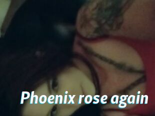 Phoenix_rose_again
