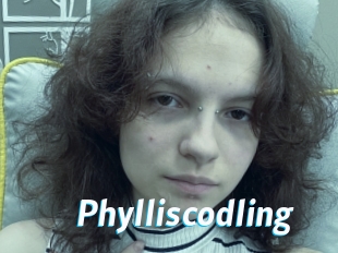 Phylliscodling