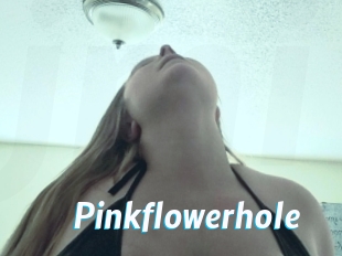 Pinkflowerhole
