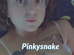 Pinkysnake