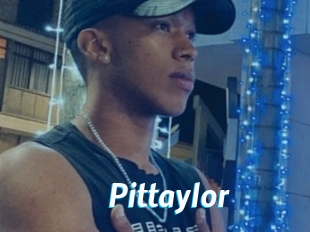 pittaylor J Mine