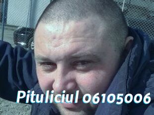 Pituliciul-06105006