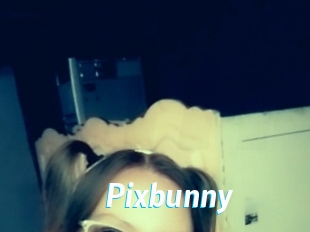 Pixbunny