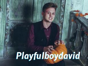 Playfulboydavid