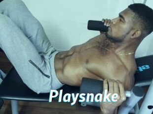 Playsnake