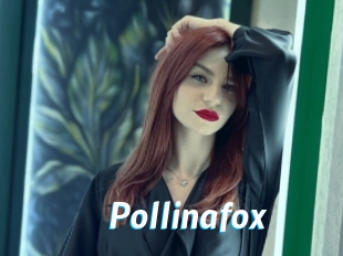 Pollinafox