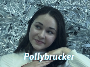 Pollybrucker
