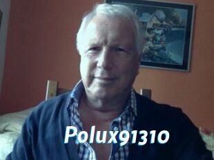 Polux91310
