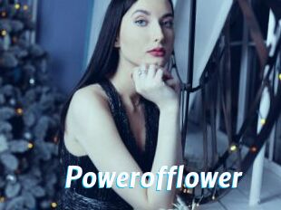 Powerofflower