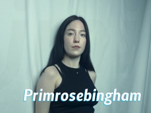 Primrosebingham